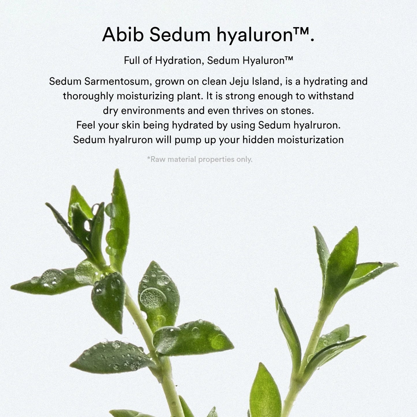 Abib Sedum Hyaluron Pad Hydrating Touch (75-Pieces 165 ml)