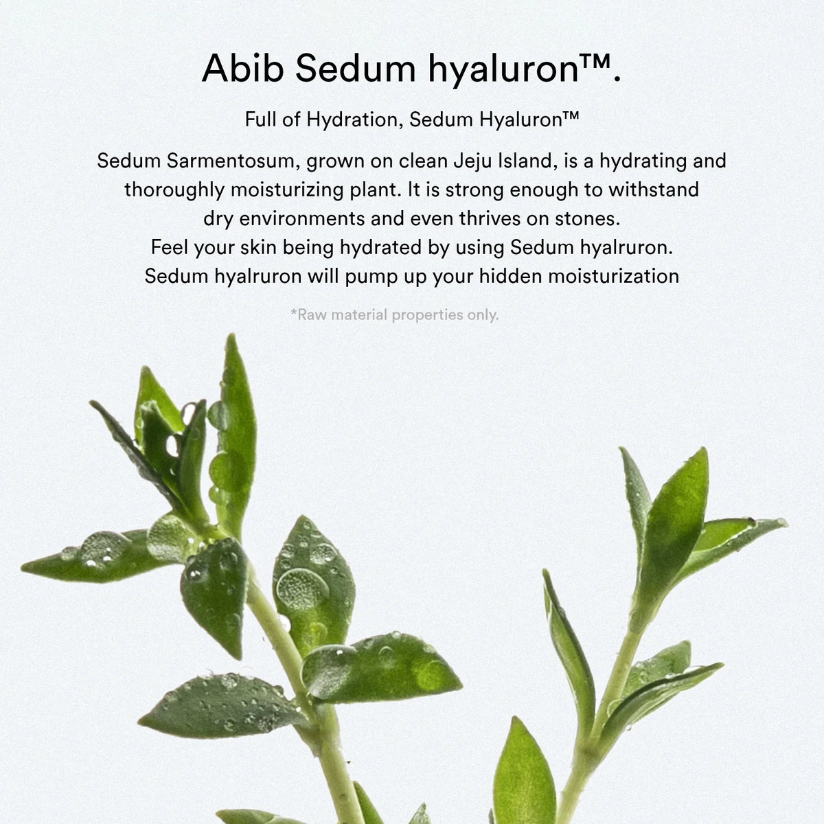 Abib Sedum Hyaluron Pad Hydrating Touch (75-Pieces 165 ml)