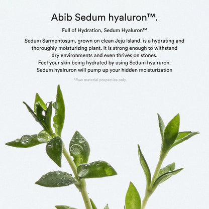 Abib Sedum Hyaluron Pad Hydrating Touch (75-Pieces 165 ml)