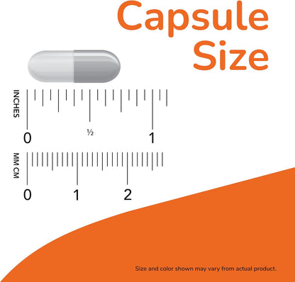 NOW Foods Nac Supplement Vitamin | 600 Mg | 100 Caps