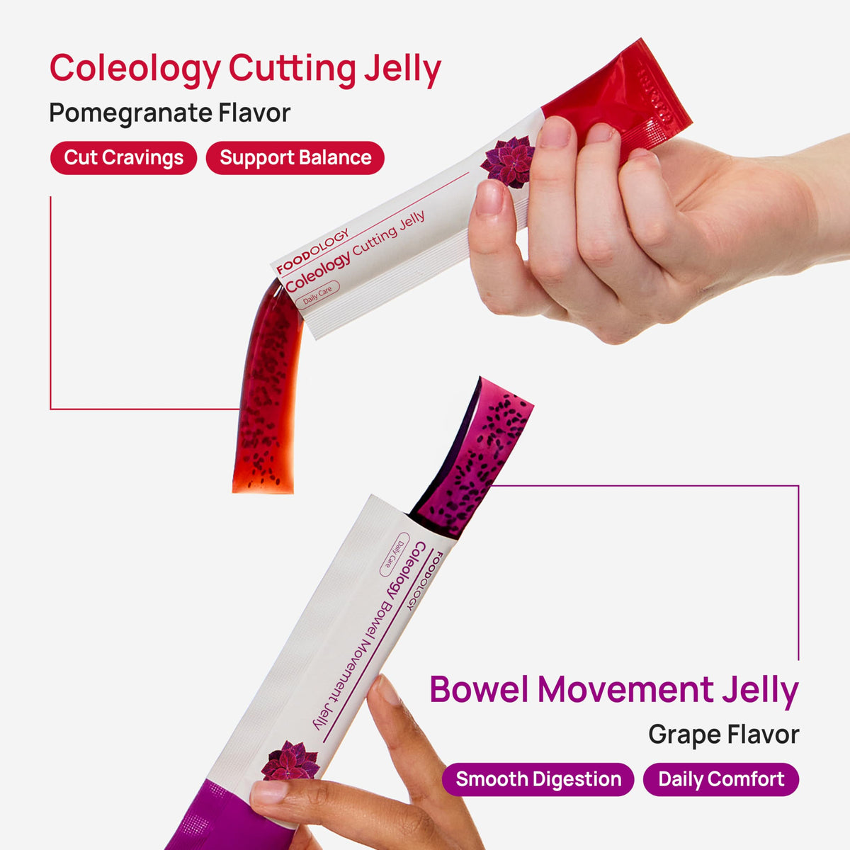 FOODOLOGY Coleology Grape & Prune Fiber Jelly – 10 Sticks