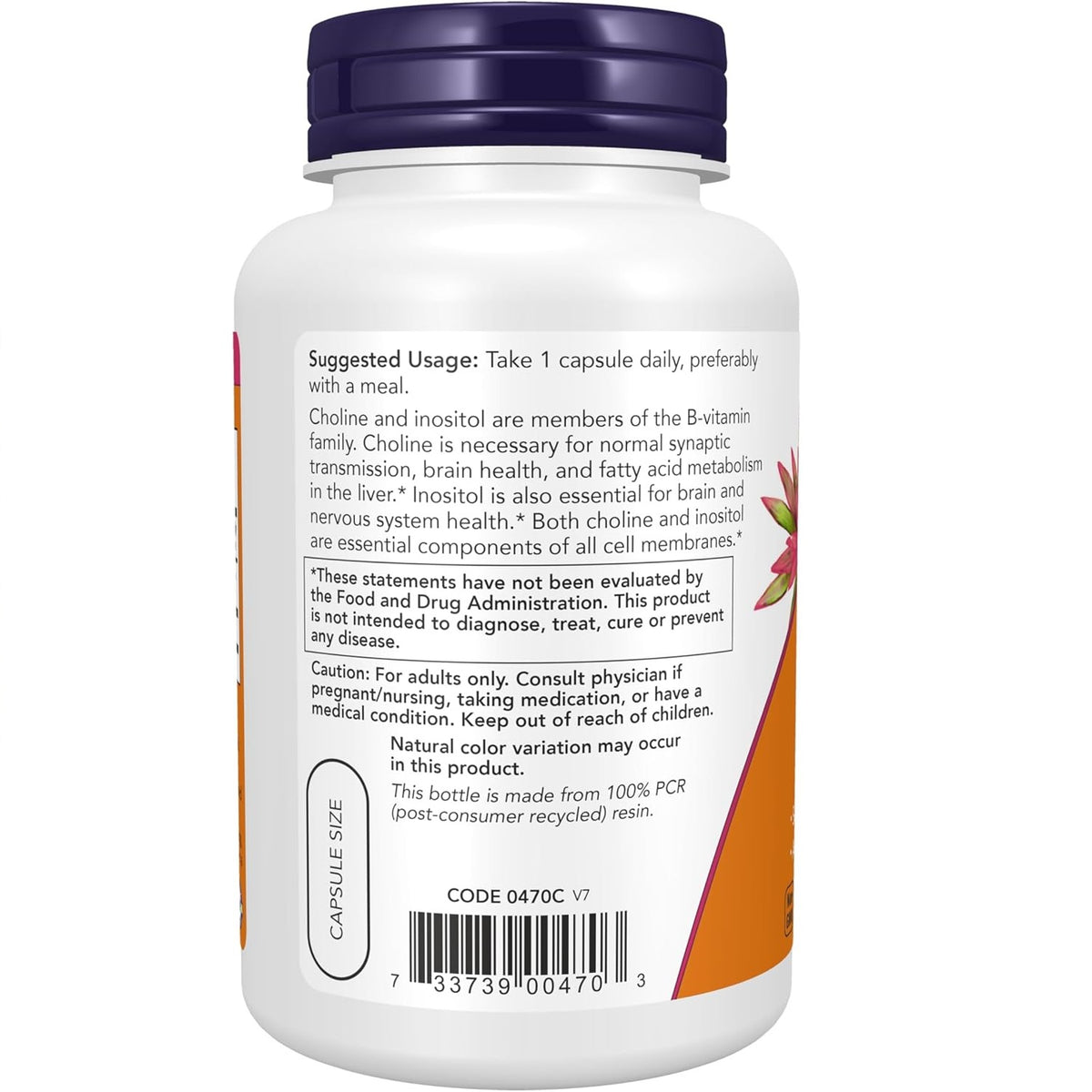 NOW Foods Choline & Inositol Vitamin | 100 Veg Caps