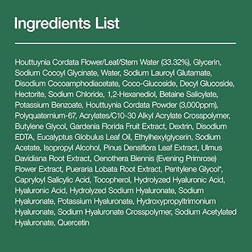 ANUA Heartleaf Quercetinol Pore Deep Cleansing Foam 150ml