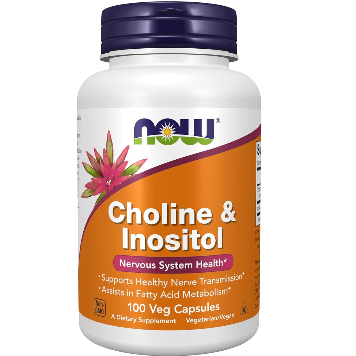 NOW Foods Choline & Inositol Vitamin | 100 Veg Caps