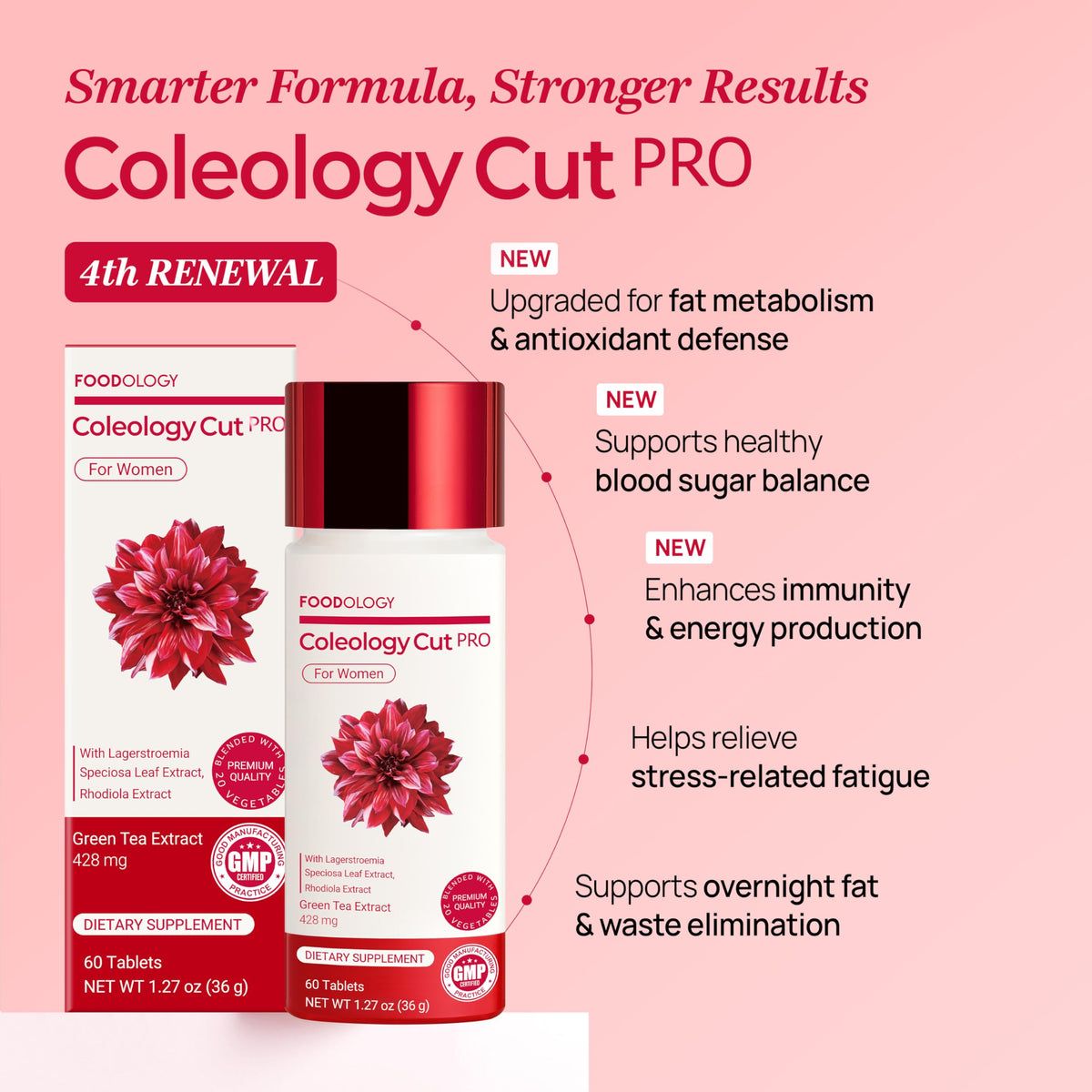 FOODOLOGY Coleology Cut PRO – Green Tea Extract & Rhodiola Rosea, 60 Tablets (30-Day Supply)