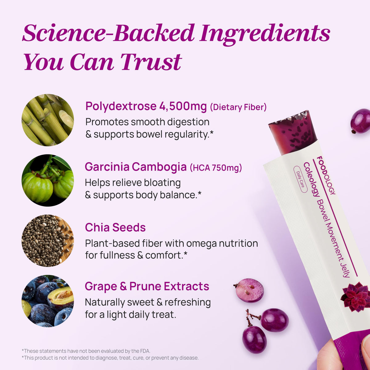 FOODOLOGY Coleology Grape & Prune Fiber Jelly – 10 Sticks