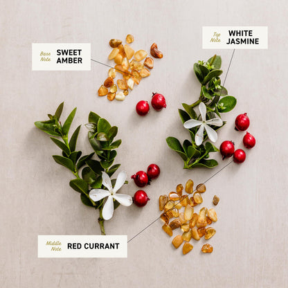 Scents with labels for Sweet Amber, White Jasmine, and Red Currant on a neutral background that are ingredients used to make CREMO Body wash