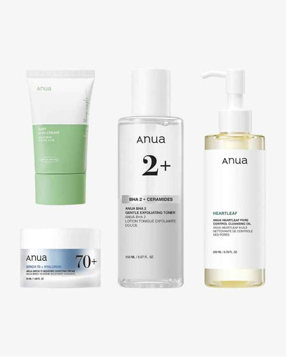 Anua 4 In 1 Bundle