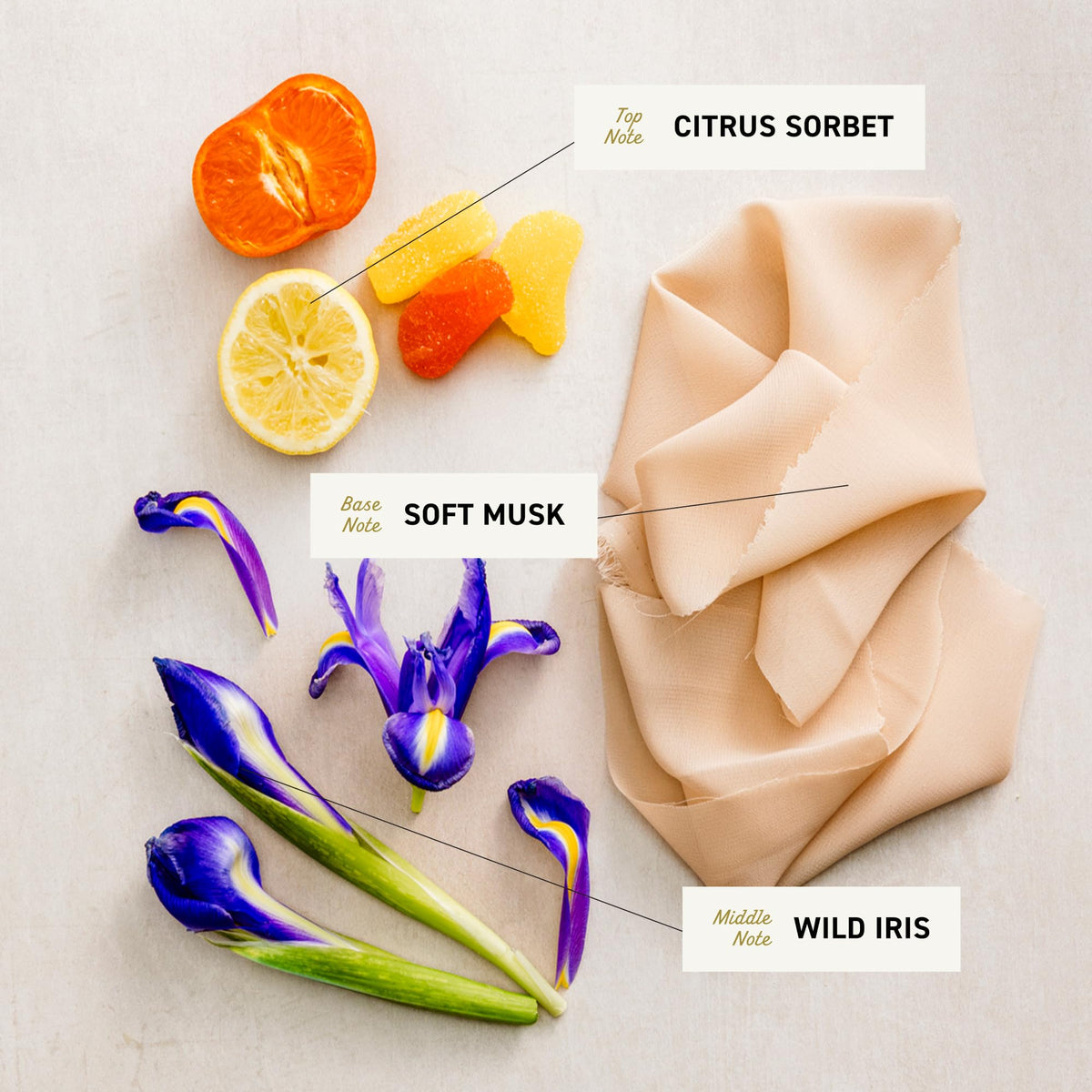 CREMO BODY WASH with floral and citrus elements labeled 'Citrus Sorbet', 'Soft Musk', and 'Wild Iris' on a neutral background.