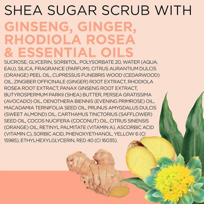 Dr Teal's Shea Sugar Body Scrub With Ginger, Ginseng & Essential Oils 19 oz