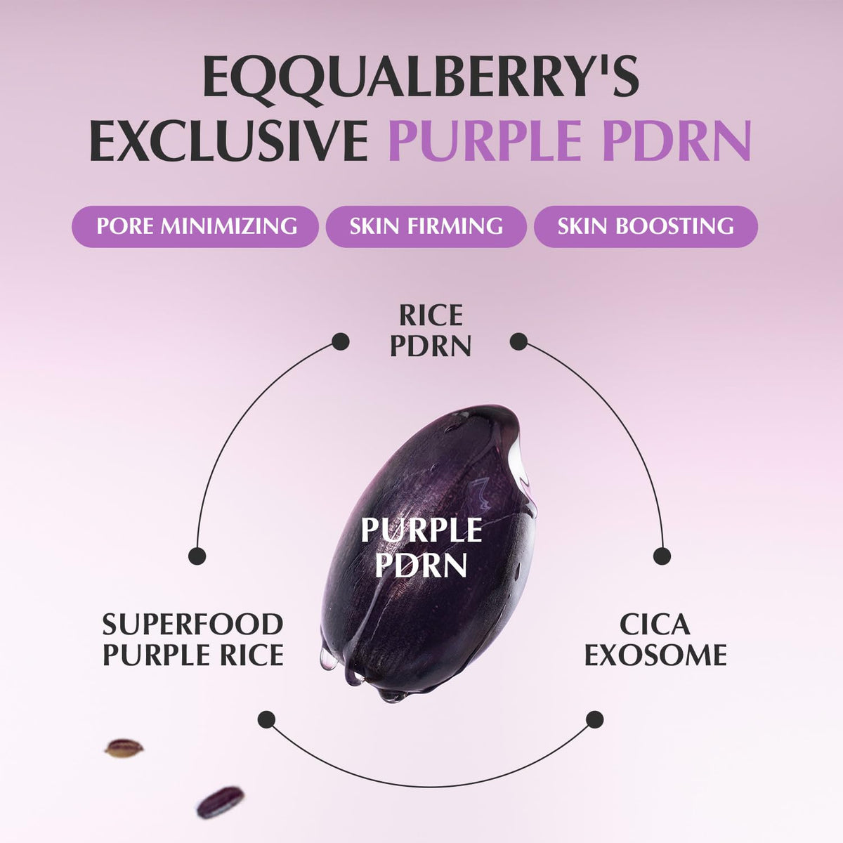 Diagram of Eqqualberry's Exclusive Purple PDRN with ingredients on a purple background