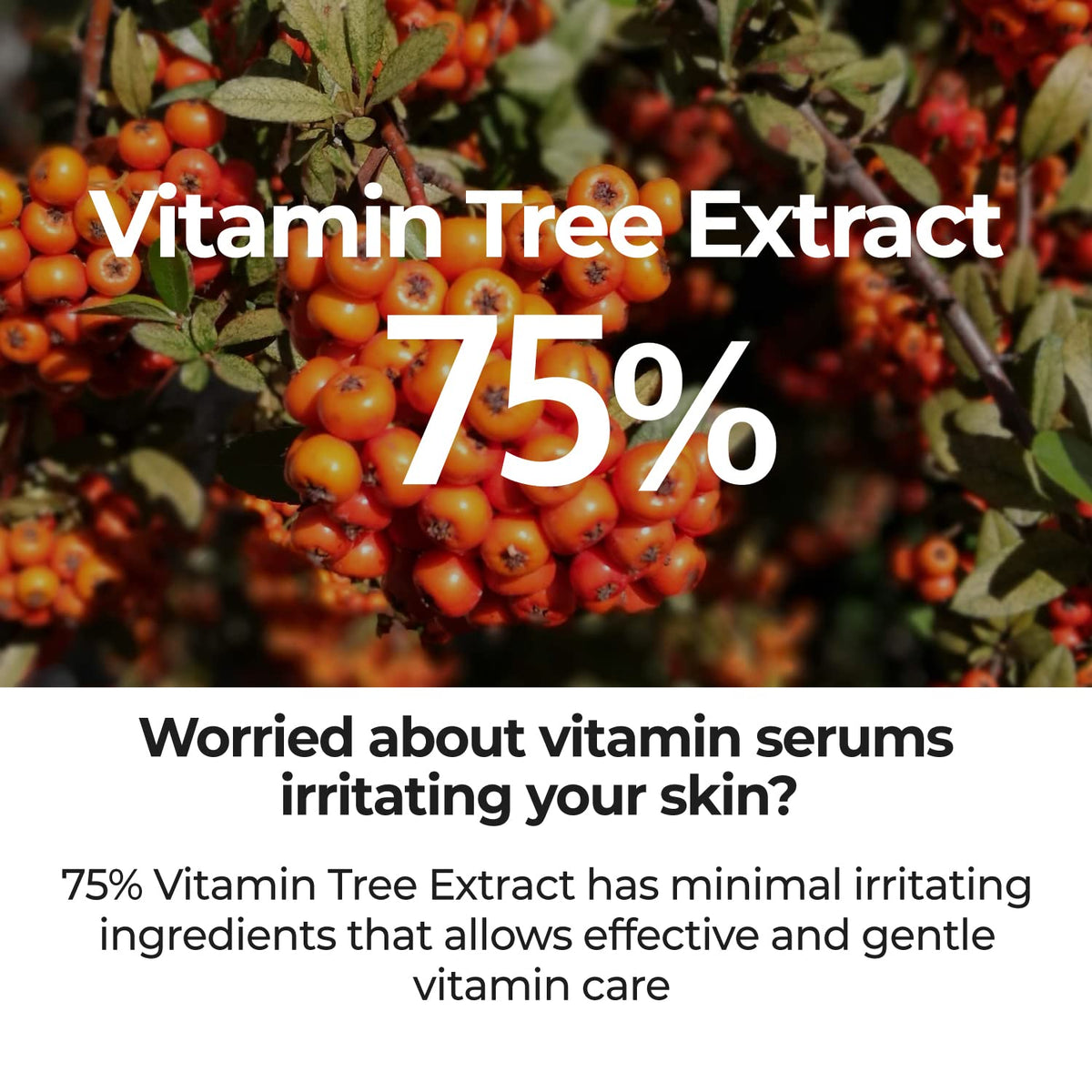 Numbuzin No.5 Goodbye Blemish Serum 50ml