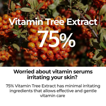 Numbuzin No.5 Goodbye Blemish Serum 50ml