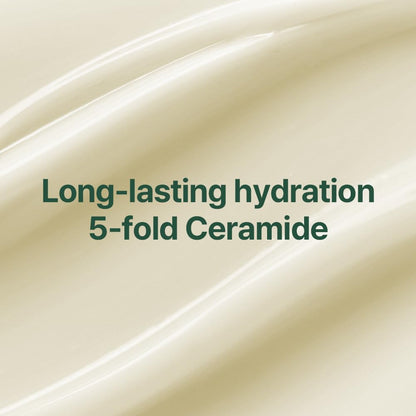 Pyunkang Yul PKY Calming Moisture Nourishing Cream 50ml